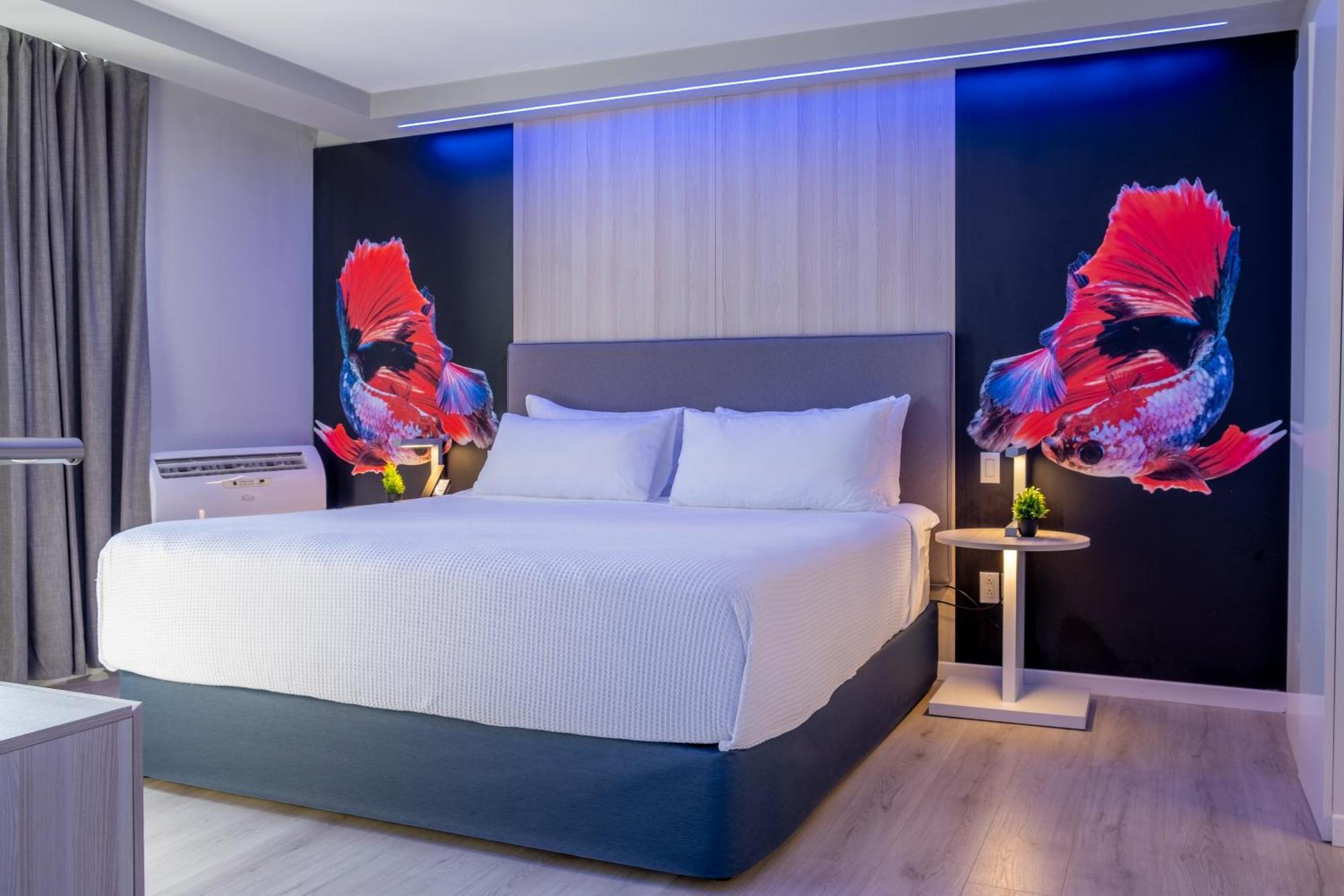 Tryp By Wyndham Aruba (Adults Only) Hotel Palm Beach Bilik gambar